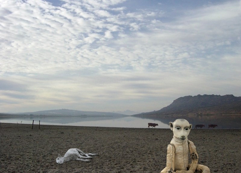 Colour_Photomontages_-® Jane_Alexander_'Signal grace'_Verlorenvlei_ 2005