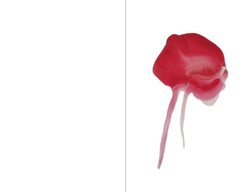 1385459_10151925132329837_1202703987_n