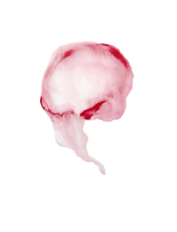 942433_10151577703404837_1910932427_n