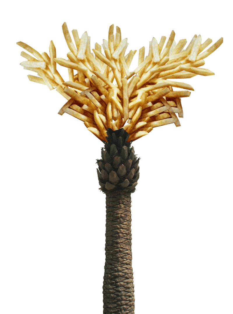 palmfriespsd