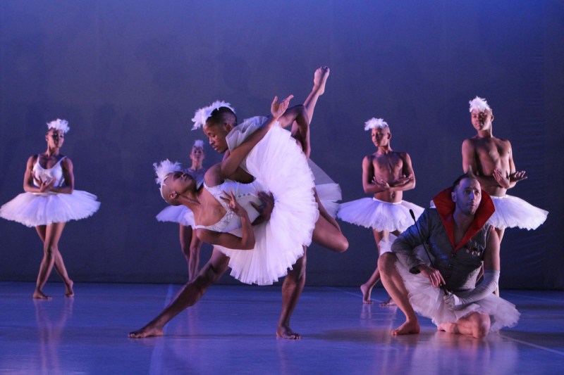 Swan Lake 3-®John Hogg