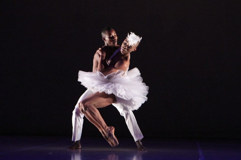 Swan Lake 5- ®John Hogg