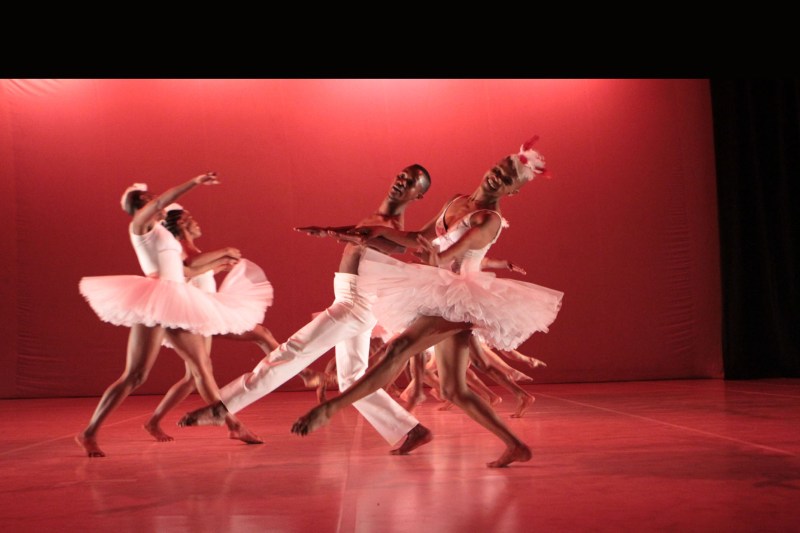 Swan Lake 6-®John Hogg