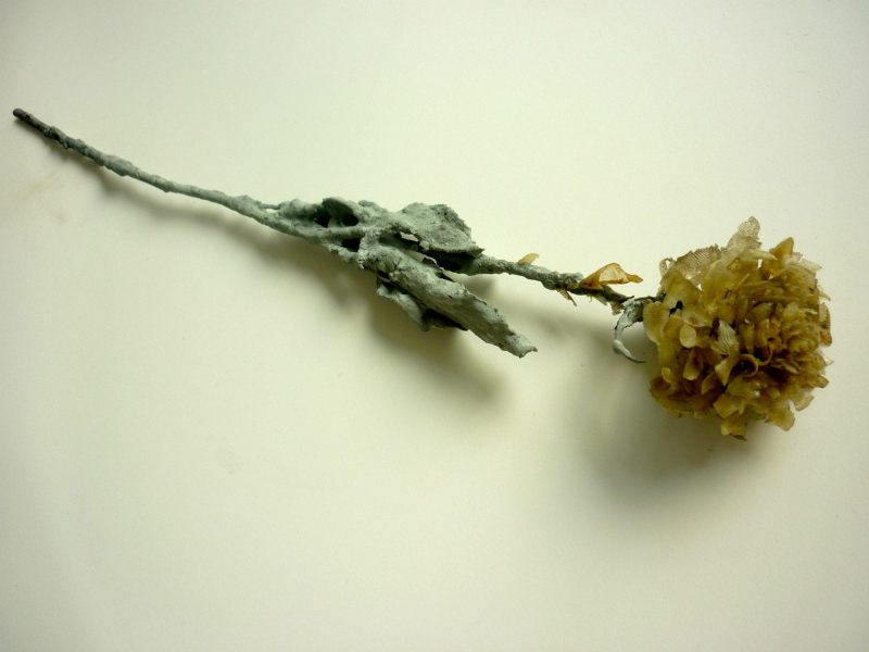 1265868_10151873897598643_302769109_o