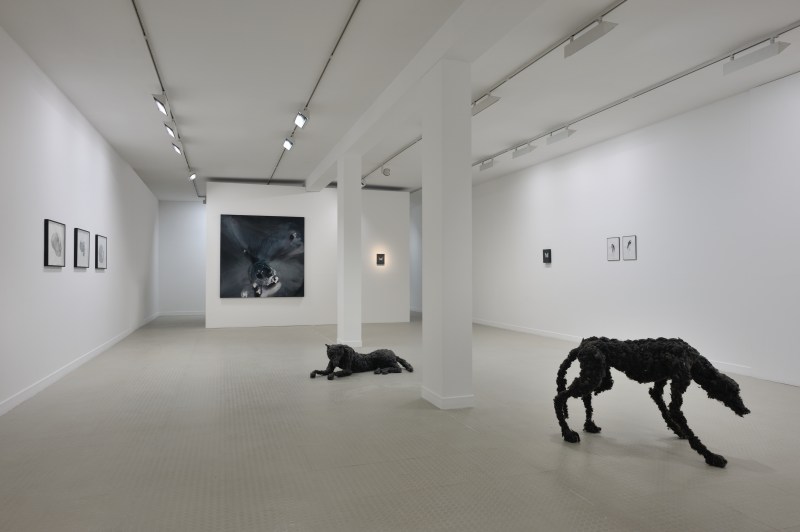 Vue 2 de l'exposition Parenth+¿ses et suspensions_Lionel Sabatt+®_Galerie municipale_copyright Rebecca Fanuele