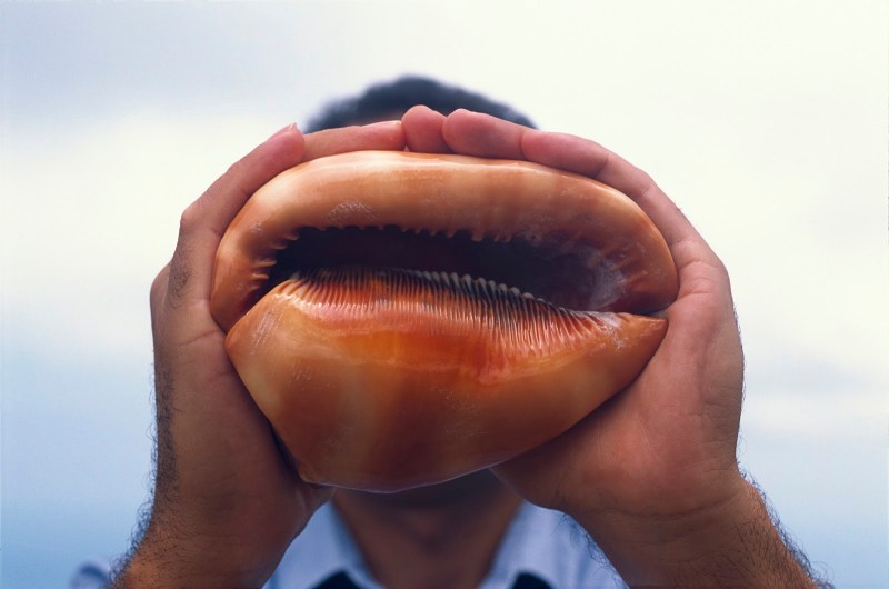 echo, rÇunion, 2005