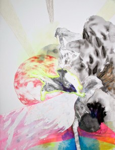 rongeur piqué au coucher de soleilweb