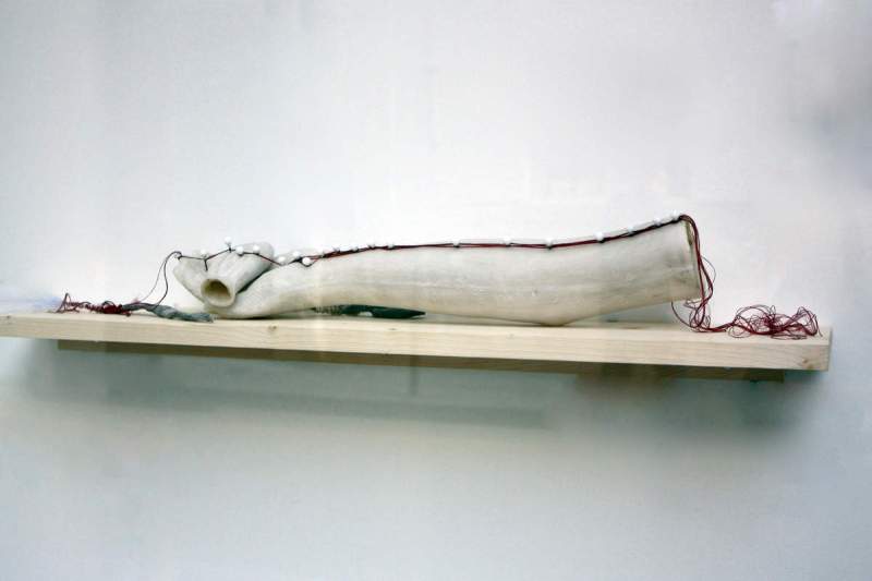 Ex votu polarisation / Myriam Mihindou / Galerie Maia Muller, Paris