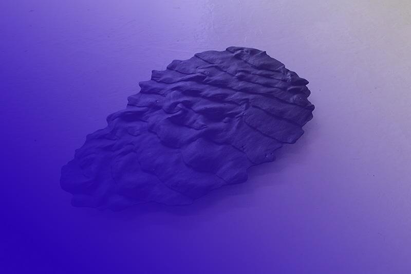 10872626_10152552786248316_615537580_n