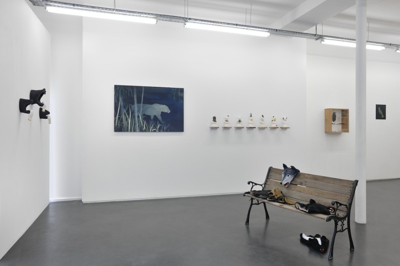 Photo / Rebecca Fanuele