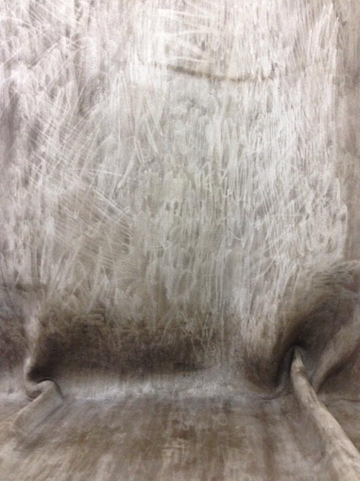 11917308_10205898107470419_810528860_n