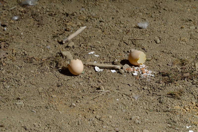 Laure Prouvost, The Smoking Image, 2015, tapisserie, vidéo (8.40 min), motos, machines à fumée, terre, moquette, œufs, smartphones, plumes.  Vue de l’exposition MDAC Rochechouart.  Courtesy de l’artiste, de MOT international (Londres, Bruxelles) et de la Galerie Nathalie Obadia (Paris, Bruxelles). Photo Aurélien Mole