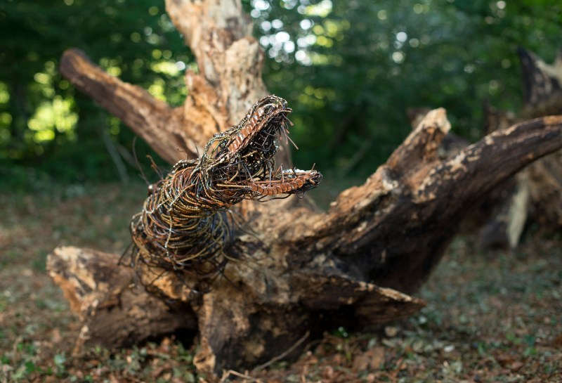 Lionel_Sabatte_Chants_Silencieux_VdF2013_-®Guillaume_Ramon