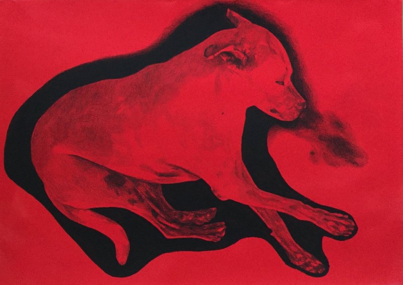 Myriam Méchita - 2016