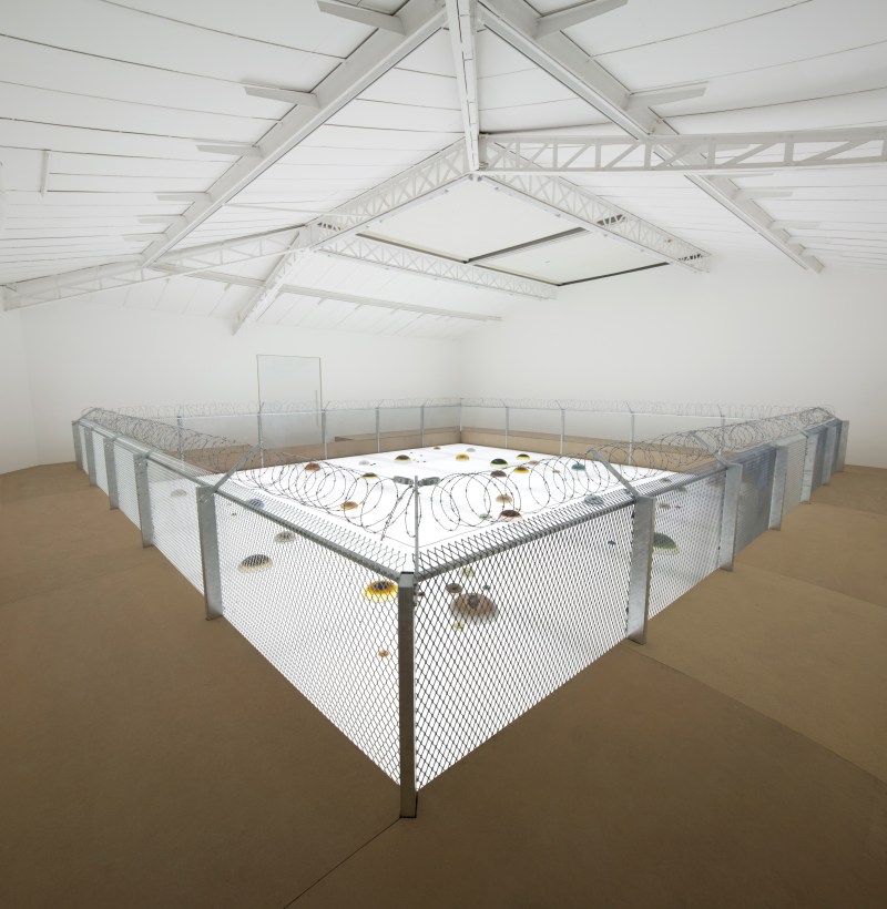 Shen Yuan Etoiles du jour, 2015 Installation: caisson lumineux, résine, fil de fer barbelé / light boxes, resin, barbed wires  10 x 800 x 800 cm Vue de l'exposition / View of the exhibition "Etoiles du jour", kamel mennour (6 rue du Pont de Lodi), Paris, 2015 © ADAGP Shen Yuan Photo. Julie Joubert & Fabrice Seixas Courtesy the artist and kamel mennour, Paris 